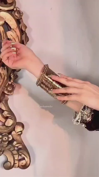 Lehnga micro valet choli